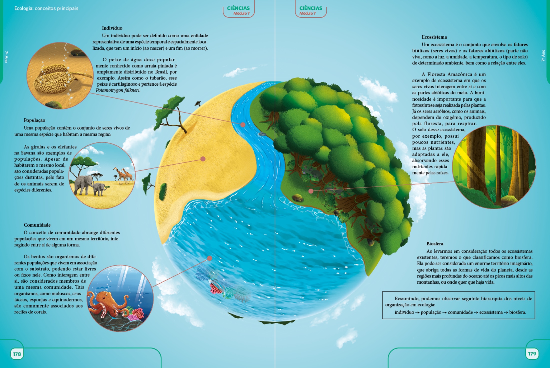 Página dupla de Ciências sobre ecologia e conceitos principais.